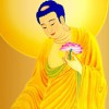 Danh Sách Phật Tử Phát Tâm Cúng Dàng Xây Dựng Đại Tượng Phật  A Mi Đà Vì Hòa Bình Thế Giới Qua Tài Khoản ngân Hàng