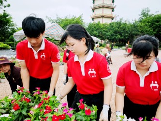Công tác chuẩn bị lễ hội hoa hồng tri ân cha mẹ tại chùa Khai Nguyên