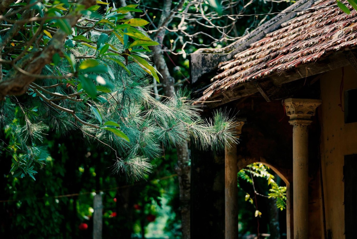 Lịch sử chùa Khai Nguyên