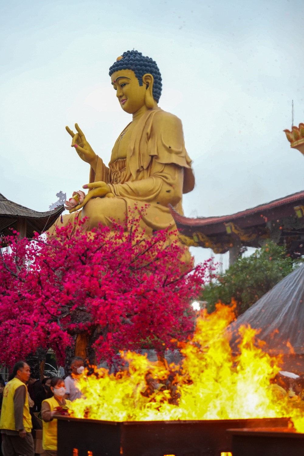 Pháp Hội Trung Phong Tam Thời Hệ Niệm Pháp Hội Ngày 4 25 4 2025 2318408981523400677 n