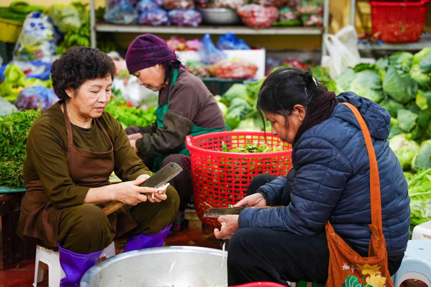 tình nguyện viên 2