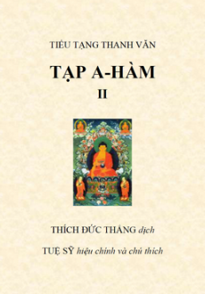 Kinh Tạp A Hàm Tập 2