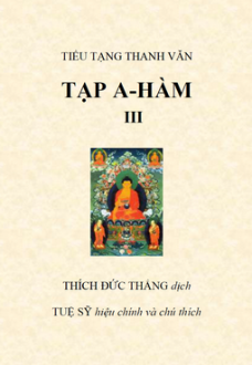 Kinh Tạp A Hàm Tập 3