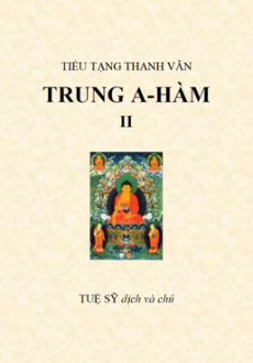 Kinh Trung A Hàm - Thích Tuệ Sỹ dịch - Tập 2