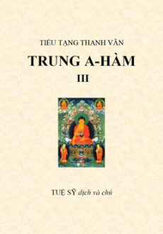 Kinh Trung A Hàm - Thích Tuệ Sỹ dịch - Tập 3