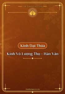 Kinh Vô Lượng Thọ -  Hán Văn