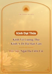 Kinh Vô Lượng Thọ - Kinh A Di Đà Hán Văn - Ngài Hạ Liên Cư Hội tập