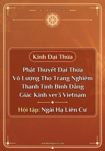 Phật Thuyết Đại Thừa Vô Lượng Thọ Trang Nghiêm Thanh Tịnh Bình Đẳng Giác Kinh ver3 Vietnam