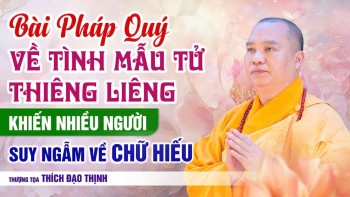 A precious Dharma talk on motherly love prompts many to reflect on filial piety | Venerable Thich...