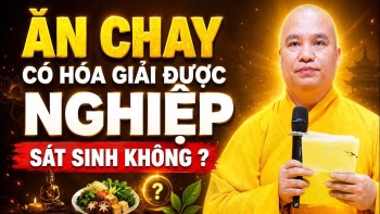ĂN CHAY CÓ HÓA GIẢI ĐƯỢC NGHIỆP SÁT SINH KHÔNG ? NGƯỜI ĂN CHAY NẤU MẶN NÊN NGHE | Thầy Đạo Thịnh