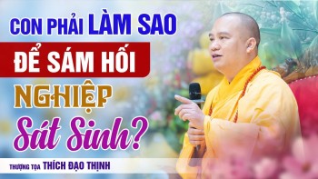 Con phải làm sao để sám hối nghiệp sát sinh? | Thầy Thích Đạo Thịnh