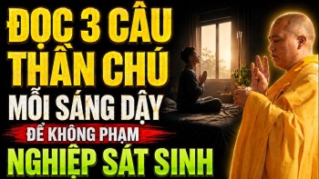 ĐỌC 3 CÂU THẦN CHÚ Mỗi Sáng Thức Dậy Để Không Phạm Vào Nghiệp SÁT SANH | TT. Thích Đạo Thịnh