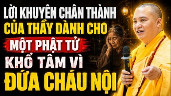 Lời Khuyên Chân Thành Của THẦY Dành Cho Một Phật Tử KHỔ TÂM VÌ ĐỨA CHÁU NỘI (nghe cực thấm)