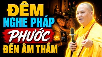 Mỗi Đêm Nằm Nghe Pháp Trước Khi Ngủ (Đừng Ngủ Vội Nếu Chưa Nghe Điều Này)  - TT. Thích Đạo Thịnh