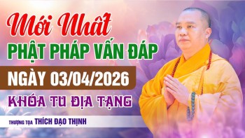MỚI NHẤT Ngày 03/4/2026 Vấn Đáp Phật Pháp Khóa Tu Địa Tạng | Thầy Thích Đạo Thịnh