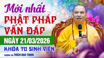MỚI NHẤT Ngày 21/03/2026 Vấn Đáp Phật Pháp Khóa Tu Sinh Viên | Thầy Thích Đạo Thịnh