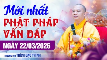 Mới Nhất! Ngày 22/03/2026 Vấn Đáp Phật Pháp Khóa Tu Sinh Viên | Thầy Thích Đạo Thịnh