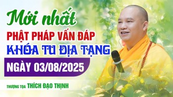 Mới Nhất Phật Pháp Vấn Đáp Khóa Tu Địa Tạng Ngày 03/08/2025 | Thầy Thích Đạo Thịnh