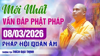 MỚI NHẤT Phật Pháp Vấn Đáp Ngày 08/03/2026 Pháp Hội Quán Âm | Thầy Thích Đạo Thịnh