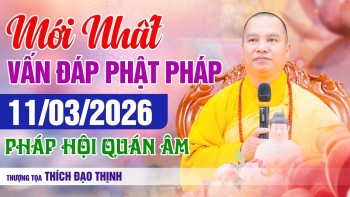 Mới nhất Phật Pháp Vấn Đáp Ngày 11/03/2026 Pháp Hội Quán Âm | Thầy Thích Đạo Thịnh
