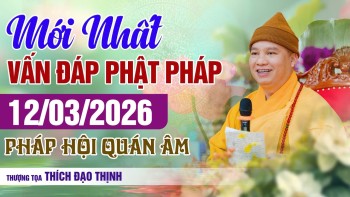 Mới nhất Phật Pháp Vấn Đáp Ngày 12/03/2026 Pháp Hội Quán Âm | Thầy Thích Đạo Thịnh