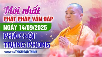 Mới Nhất Phật Pháp Vấn Đáp ngày 14/09/2025 Pháp Hội Trung Phong | Thầy Thích Đạo Thịnh