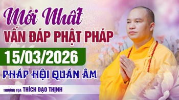 MỚI NHẤT Phật Pháp Vấn Đáp Ngày 15/03/2026 Pháp Hội Quán Âm | Thầy Thích Đạo Thịnh