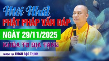 Mới Nhất Phật Pháp Vấn Đáp Ngày 29/11/2025 Khóa Tu Địa Tạng | Thầy Thích Đạo Thịnh