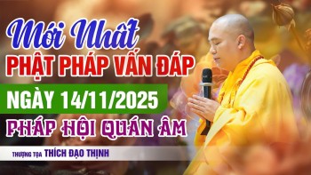 Mới Nhất Vấn Đáp Phật Pháp 14/11/2025  Pháp Hội Quán Âm | Thầy Thích Đạo Thịnh
