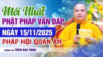 Mới Nhất Vấn Đáp Phật Pháp 15/11/2025  Pháp Hội Quán Âm | Thầy Thích Đạo Thịnh