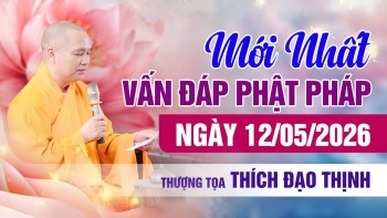 Mới nhất! Vấn Đáp Phật Pháp Ngày 12/05/2026 | Thầy Thích Đạo Thịnh