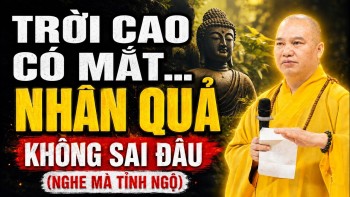 Nhân Quả Là Có Thật, Người Tính Không Bằng Trời Tính - SỐ TRỜI AN BÀI Không Thoát Được Đâu