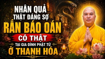 NHÂN QUẢ THẬT ĐÁNG SỢ RẮN BÁO OÁN CÓ THẬT TẠI GIA ĐÌNH PHẬT TỬ Ở THANH HÓA | Thầy Thích Đạo Thịnh