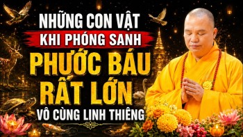 NHỮNG CON VẬT LINH THIÊNG KHI PHÓNG SANH CÔNG ĐỨC SẼ CỰC LỚN MÀ ÍT AI BIẾT ĐẾN | Thầy Đạo Thịnh