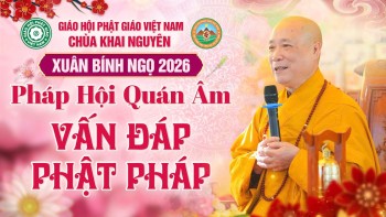 Phật Pháp Vấn Đáp Ngày 07/03/2026 Pháp Hội Quán Âm | Hòa thượng Thích Bảo Nghiêm