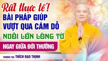 Rất thực tế! Bài pháp giúp vượt qua cám dỗ, nuôi lớn lòng từ giữa đời thường | Thầy Thích Đạo Thịnh
