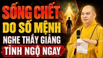 SỐNG CHẾT DO SỐ MỆNH Nghe Thầy Giảng Tỉnh Ngộ Ngay - TT. Thích Đạo Thịnh