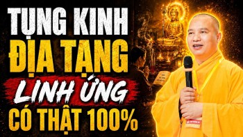 Sự Linh Ứng Khi Tụng Kinh Địa Tạng Vương Bồ Tát (chuyện có thật 100%) - Thầy Thích Đạo Thịnh