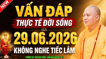 VẤN ĐÁP TỐI 29.06.2026 THỰC TẾ ĐỜI SỐNG, KHÔNG NGHE TẾC LẮM | Thầy Thích Đạo Thịnh