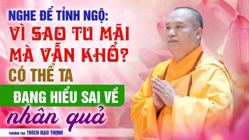 Vì sao tu mãi mà vẫn khổ? Có thể ta đang hiểu sai về nhân quả | Thầy Thích Đạo Thịnh