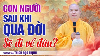 Where do people go after they die? | Venerable Thich Dao Thinh