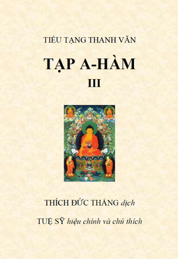 Kinh Tạp A Hàm Tập 3
