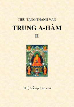 Kinh Trung A Hàm - Thích Tuệ Sỹ dịch - Tập 2