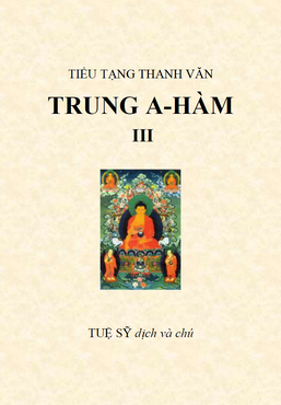 Kinh Trung A Hàm - Thích Tuệ Sỹ dịch - Tập 3