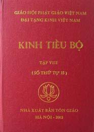 Kinh Tiểu Bộ 8