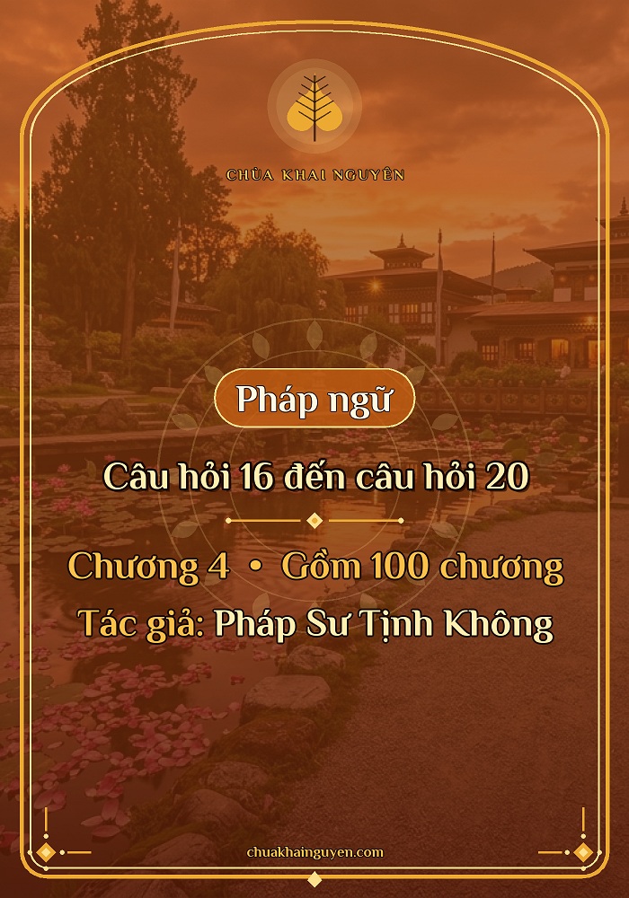 Câu hỏi 16 đến câu hỏi 20