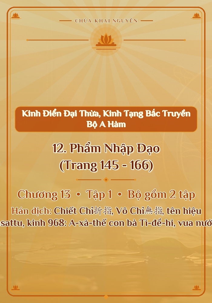 12. Phẩm Nhập Đạo (Trang 145 - 166)