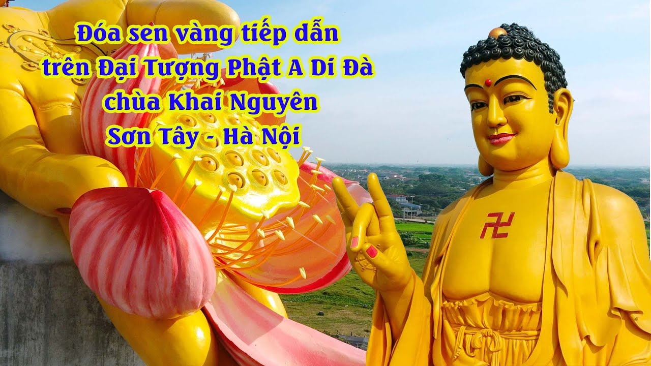 Đóa sen vàng trên cánh tay tiếp dẫn của đại tượng Phật A Di Đà vì hòa bình thế giới chùa Khai Nguyên