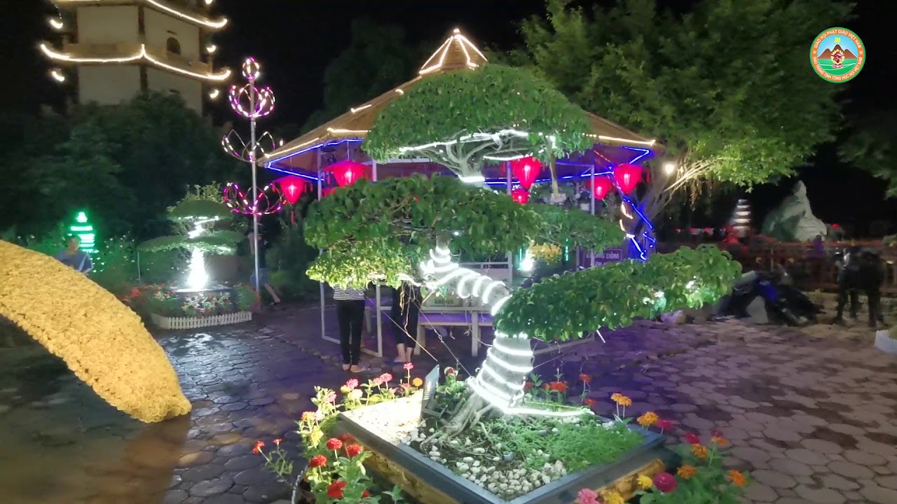 Vlog Đêm Khai Nguyên Lễ Hội Hoa Hồng