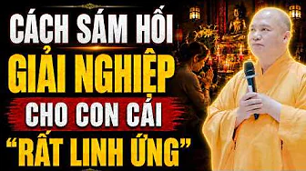 Cách Sám Hối Hồi Hướng Giải Nghiệp Cho Con Cái (rất linh ứng) - TT. Thích Đạo Thịnh